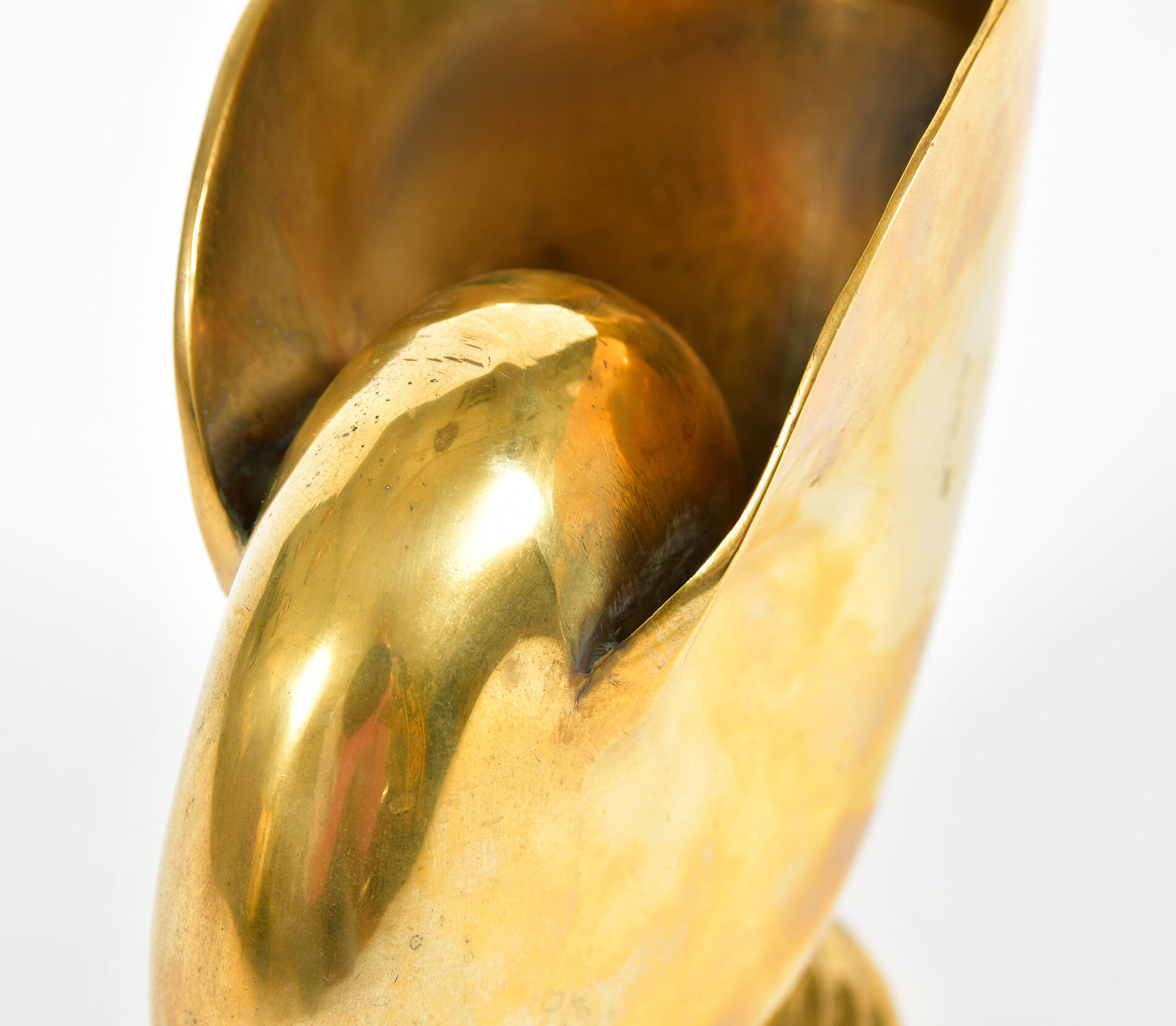 Brass Nautilus Shell Planter / Vase 